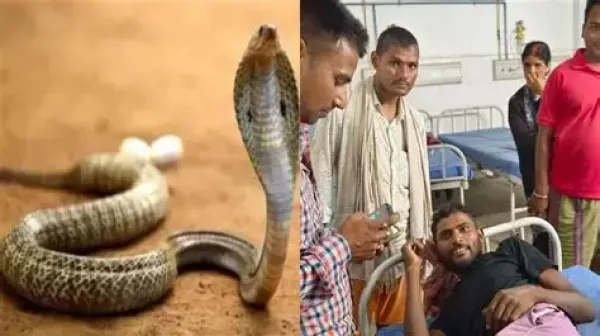 10 lakh rupees for snake bite victim family in Bihar announcement in Assembly