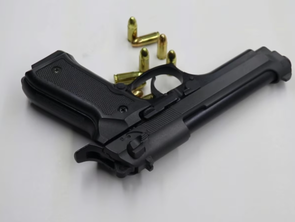 Bihar Arms Licence Order instructions issued to DM and SP for fixed timeline approval