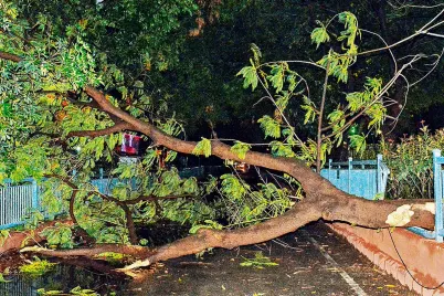 Bihar-bad-weather-storm-rain-lightning-damage-in-several-districts.webp