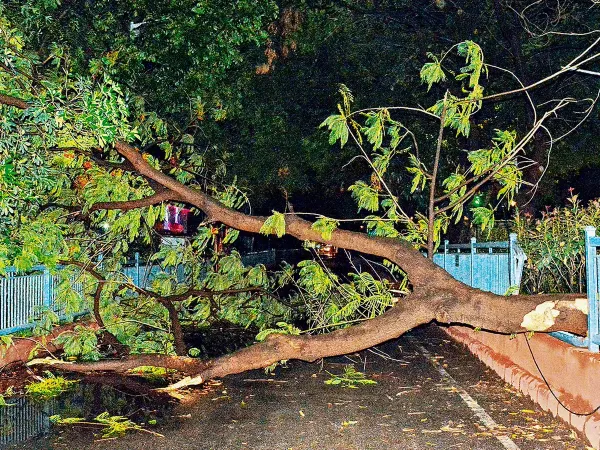 Bihar bad weather storm rain lightning damage in several districts