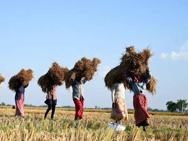 Farmers Training Halted in 22 Districts of Bihar due to agriculture department action