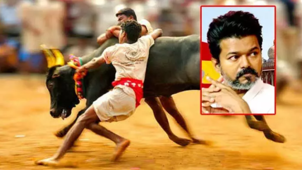 Vijay Fans Angry With Governor as protests spread across Tamil Nadu after the governor delayed inviting TVK leader Vijay to form the government.