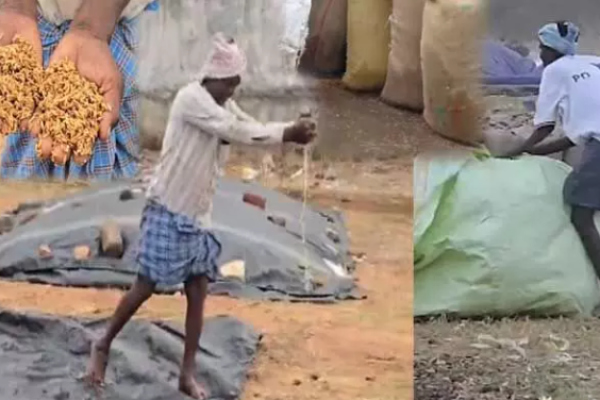 Heavy rain damages grain in Telangana at market yards and procurement centres