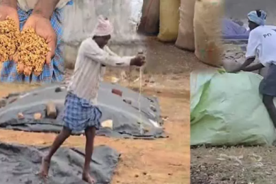 Heavy-rain-damages-grain-in-Telangana-at-market-yards-and-procurement-centres.png