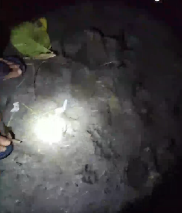 Kishanganj News leopard spotted in Panchgachhi village Bihar