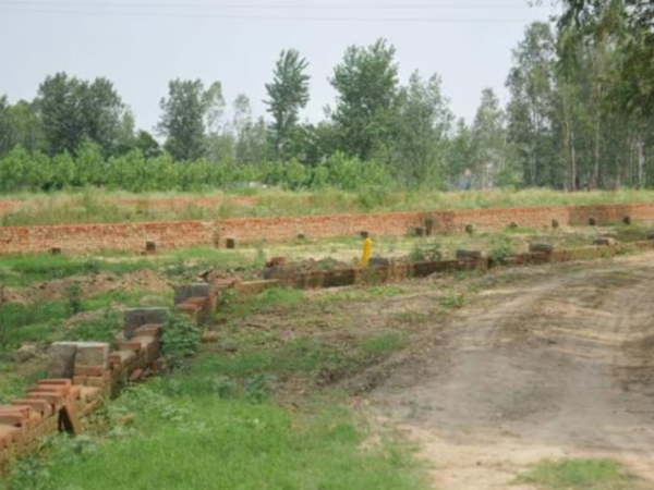 Mother and Son Murder for 4 Kattha Land in Bihar Mokama crime scene investigation