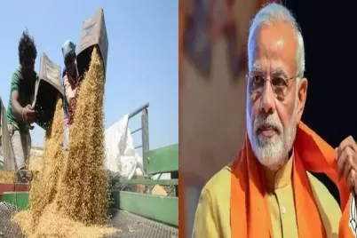 Paddy-MSP-Hike-announced-by-Modi-Cabinet-for-Kharif-crops.webp