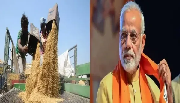 Paddy MSP Hike announced by Modi Cabinet for Kharif crops