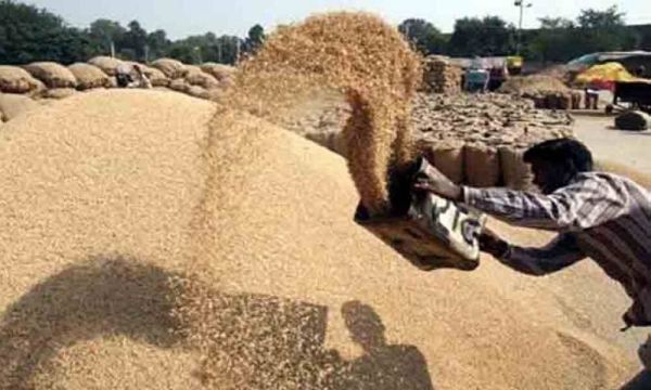 Rabi grain procurement record helps Telangana farmers earn higher income