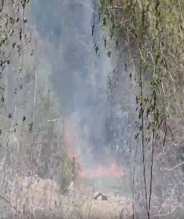 Rohtas Kaimur Hills fire spreading across forest hills in Bihar