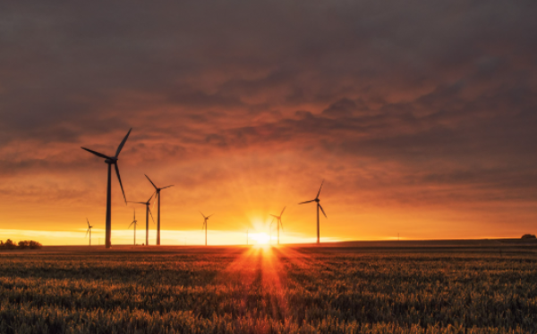 WEF report reveals global warming will cause $1.5 trillion in productivity losses due to health risks, with sectors like agriculture and healthcare hit hardest.