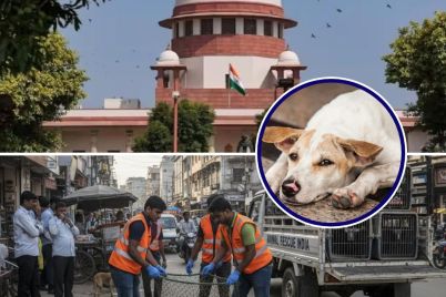 Supreme-Court-orders-action-against-dangerous-stray-dogs-amid-rising-attacks.jpg