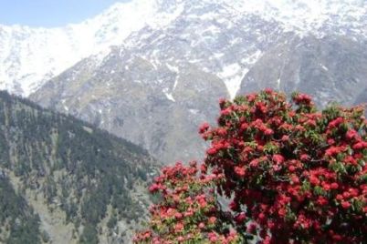 Triund-dharamshala.jpg