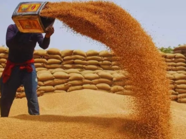 Wheat procurement target increased in Bihar allowing farmers to sell wheat at MSP