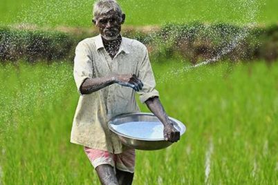 farmers.jpeg