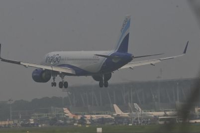 indigo.jpeg