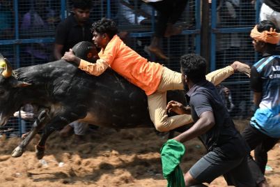 jallik.jpeg