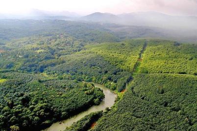 kerala.jpeg