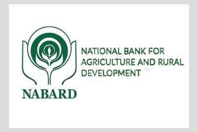 nabard-177435426798.jpeg