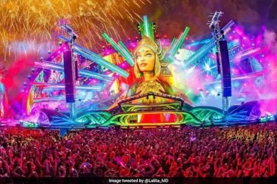 pfsaalb_electric-daisy-carnival-_625x300_20_January_26_converted.jpg