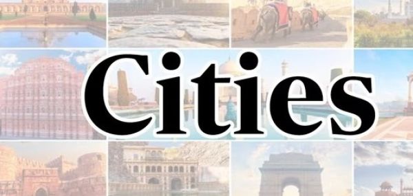 Delhi minister announces rabies to be declared a notifiable disease soon