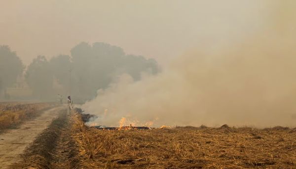 Farmers burning stubble in a Punjab field as govt launches awareness campaign
